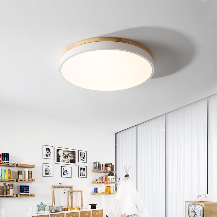 Flush Mount Circular LED Ceiling Light Fixture
