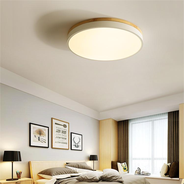 Flush Mount Circular LED Ceiling Light Fixture