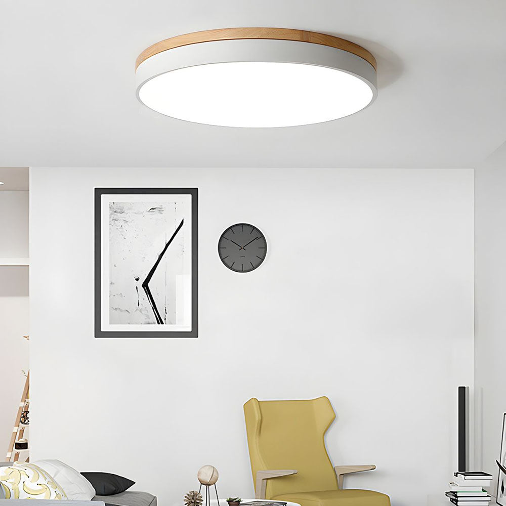 Flush Mount Circular LED Ceiling Light Fixture