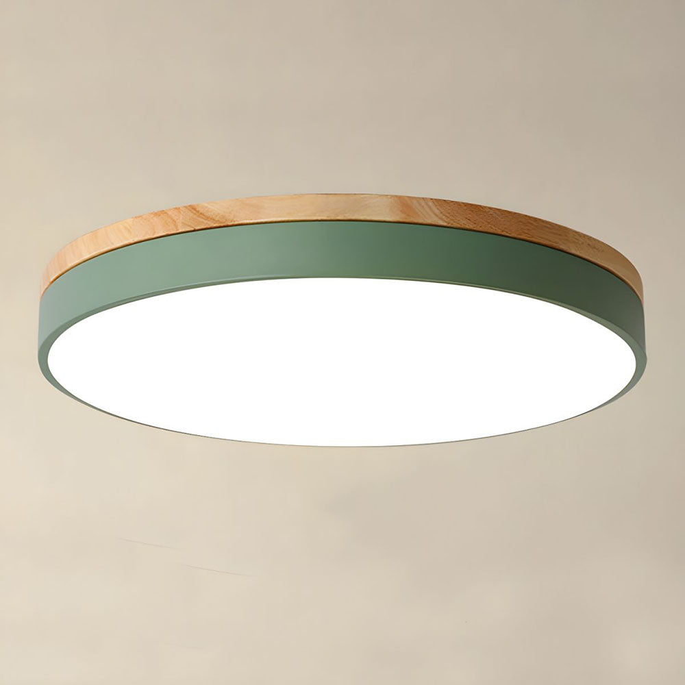 Flush Mount Circular LED Ceiling Light Fixture