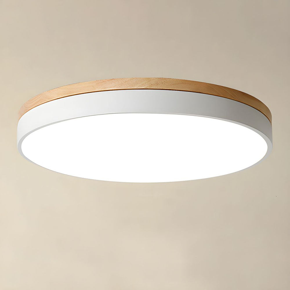Flush Mount Circular LED Ceiling Light Fixture