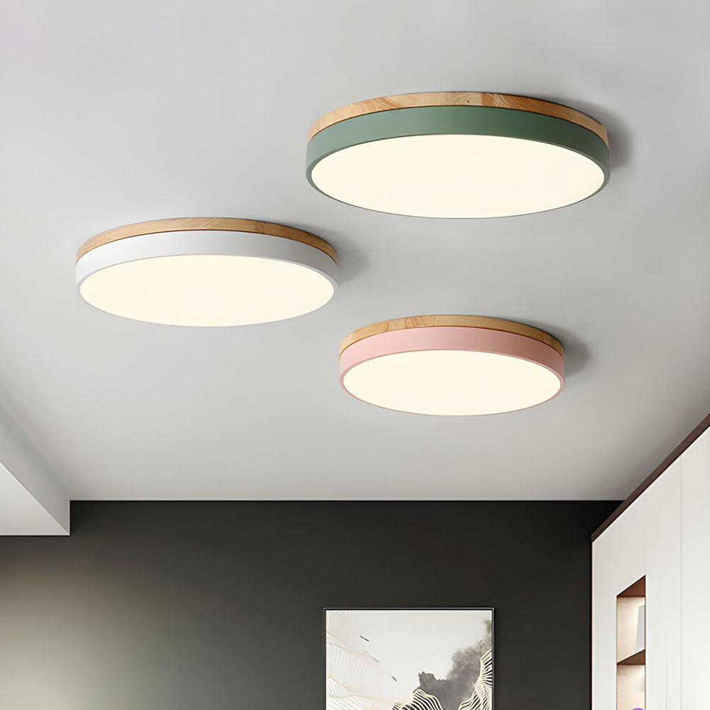 Flush Mount Circular LED Ceiling Light Fixture