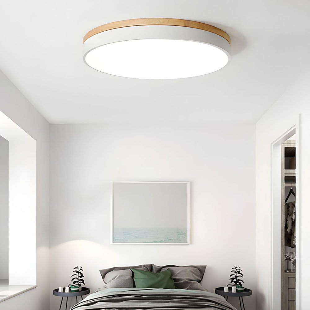 Flush Mount Circular LED Ceiling Light Fixture