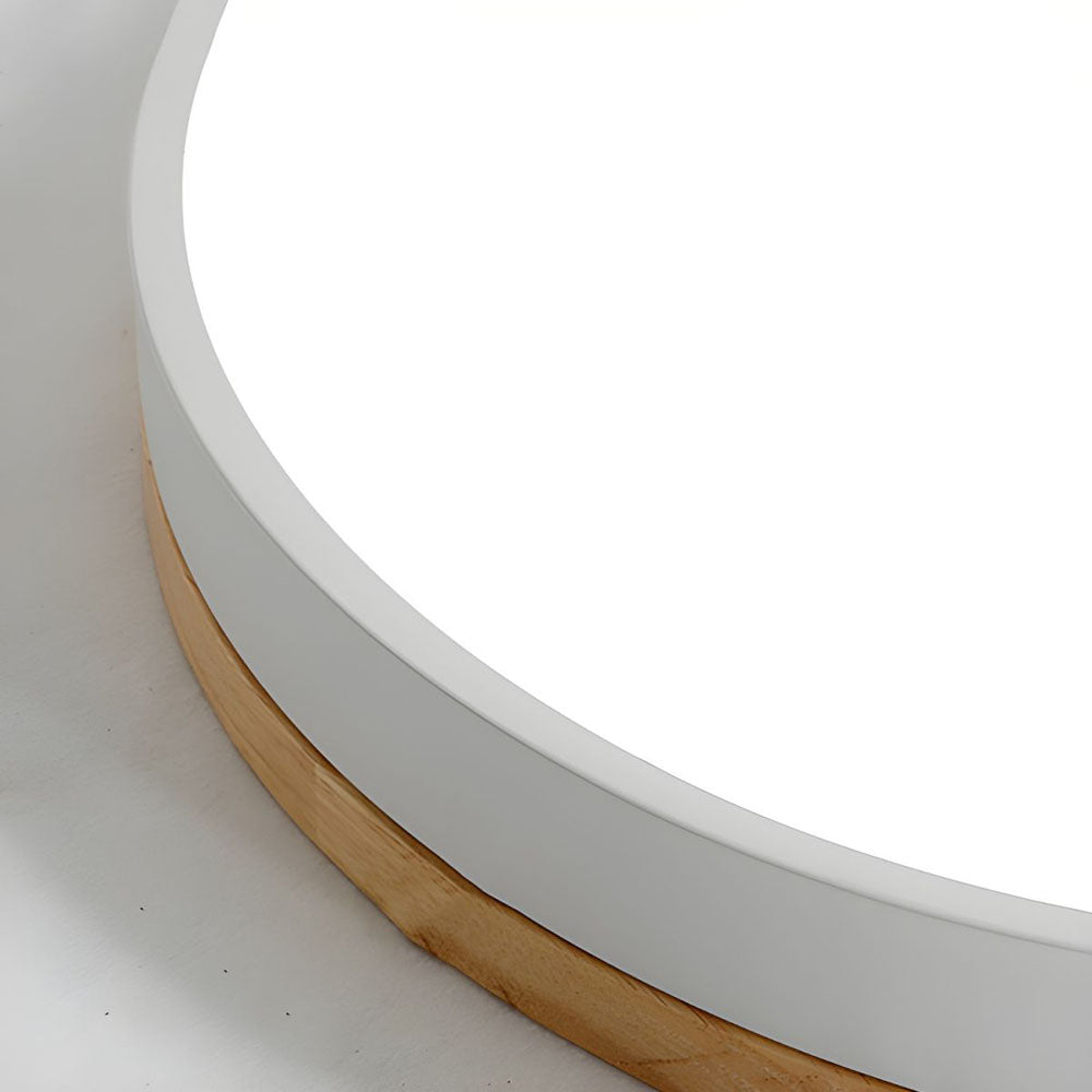 Flush Mount Circular LED Ceiling Light Fixture