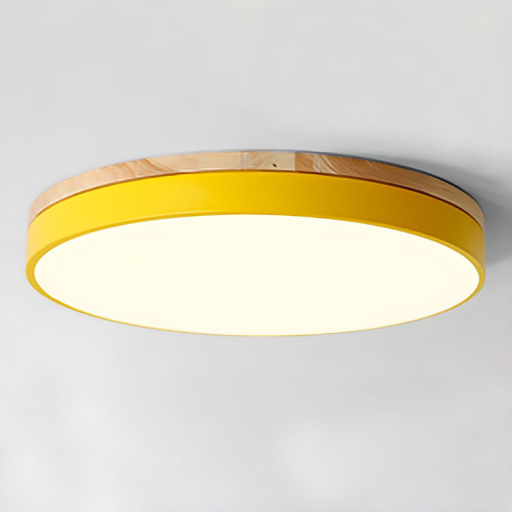 Flush Mount Circular LED Ceiling Light Fixture