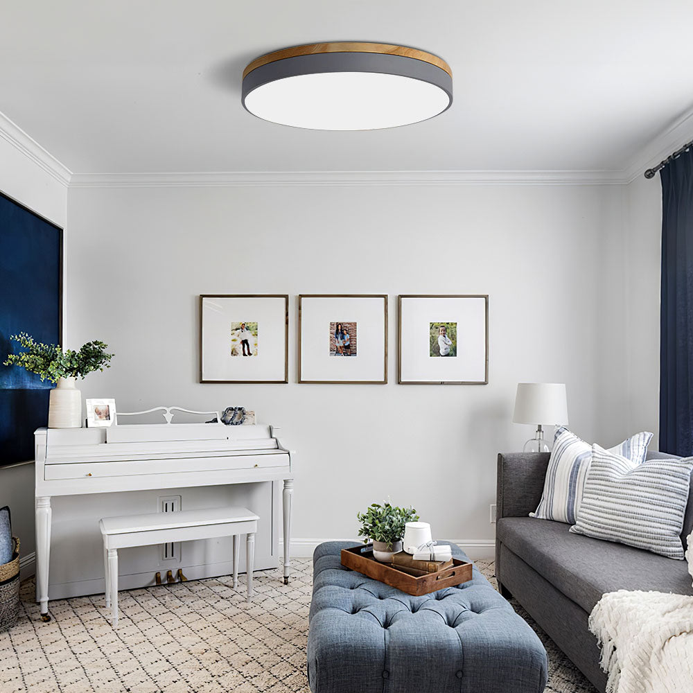 Flush Mount Circular LED Ceiling Light Fixture