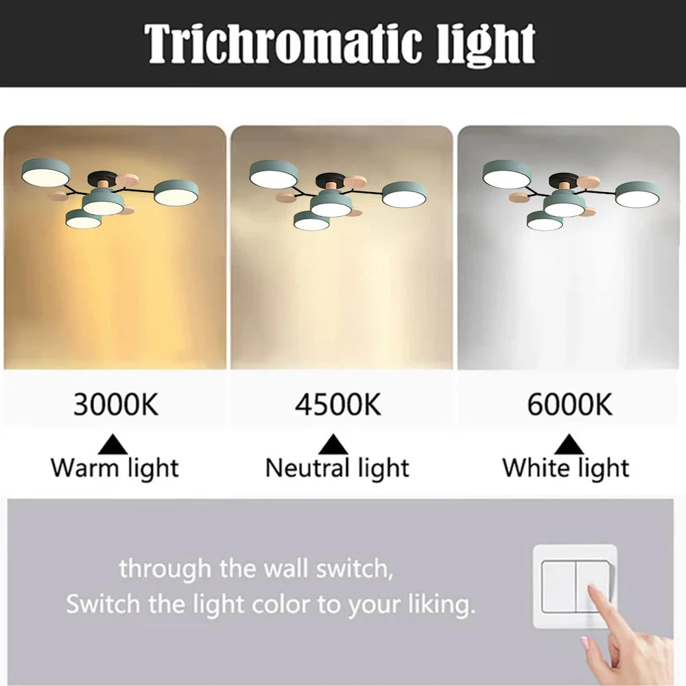 Semi-Flush Circular LED Ceiling Light Fixture