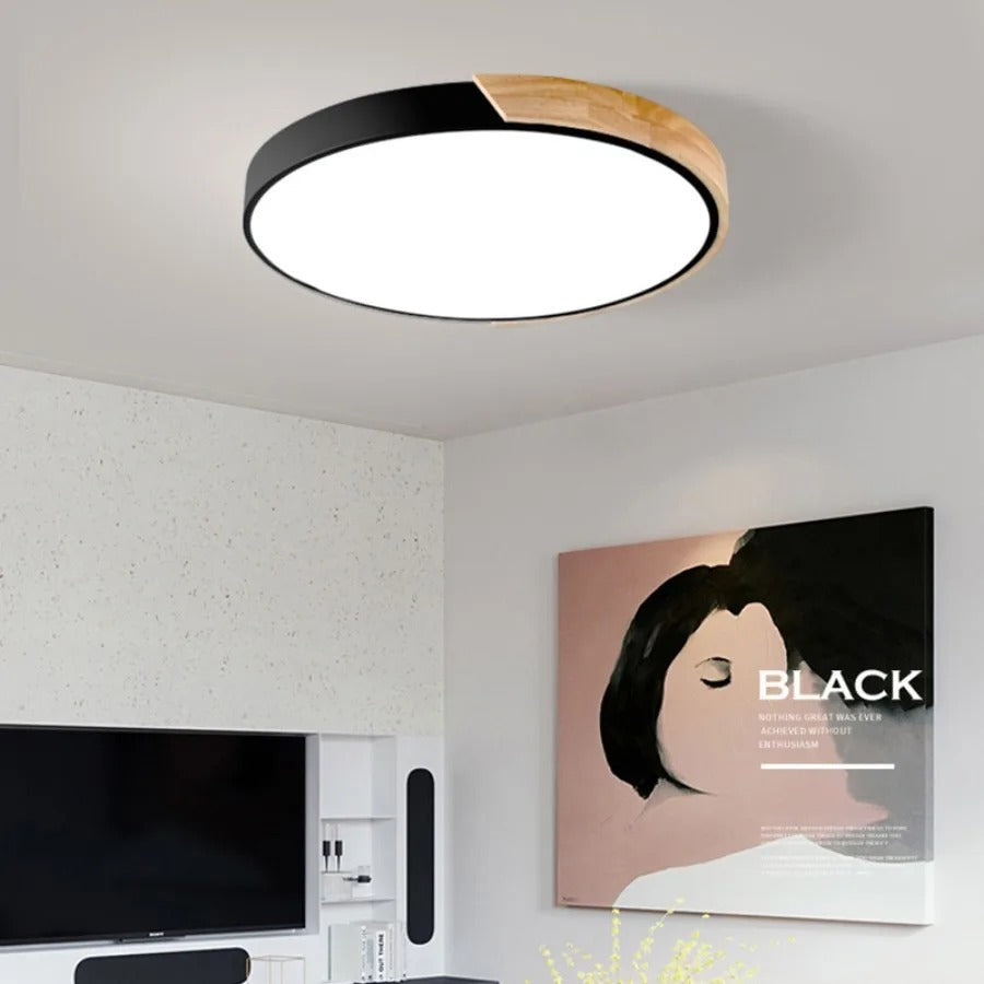 Circular LED Flush Mount Ceiling Light