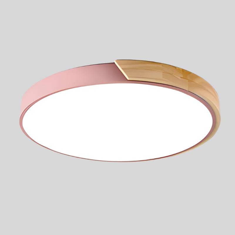 Circular LED Flush Mount Ceiling Light