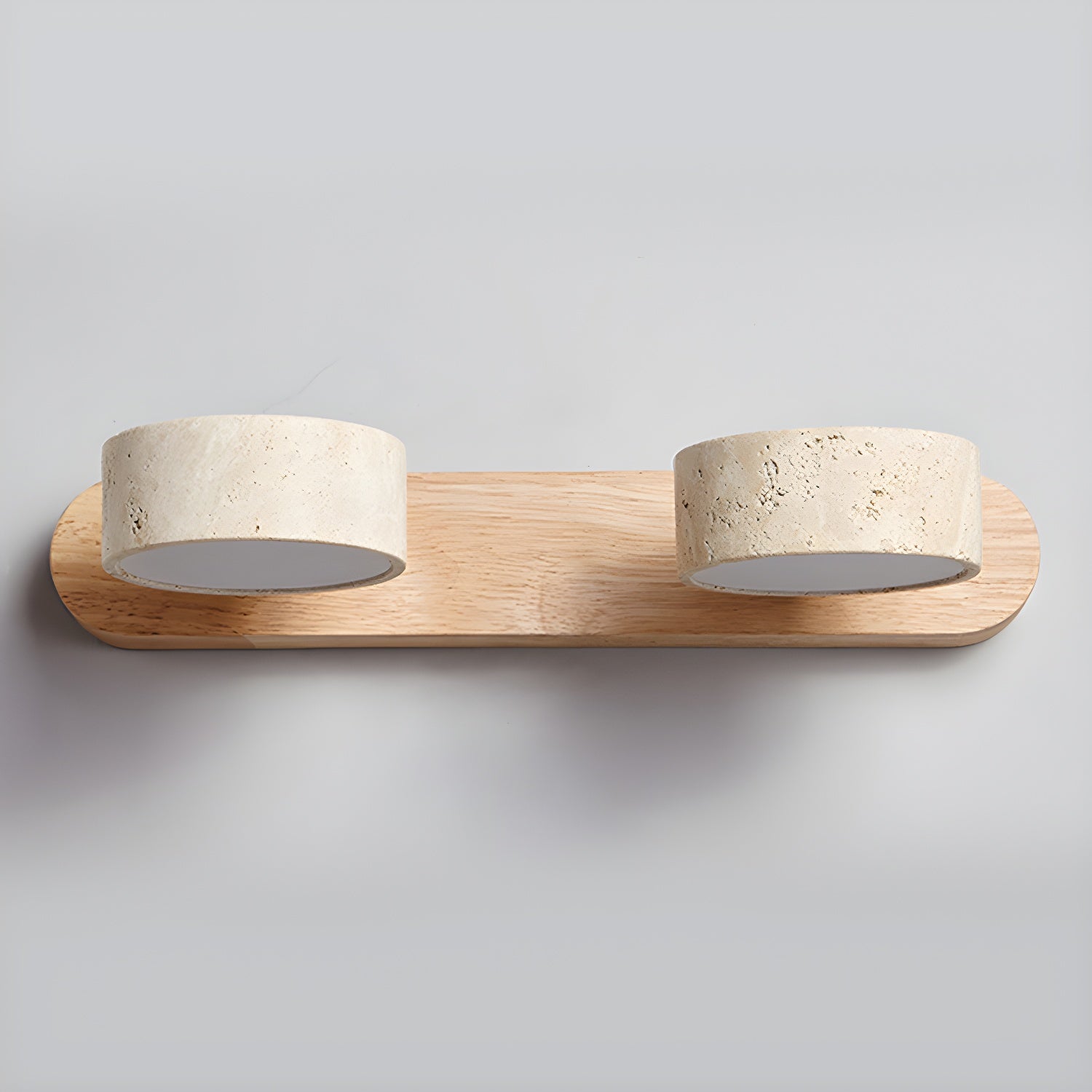 Dual-Light LED Wall Sconce Fixture