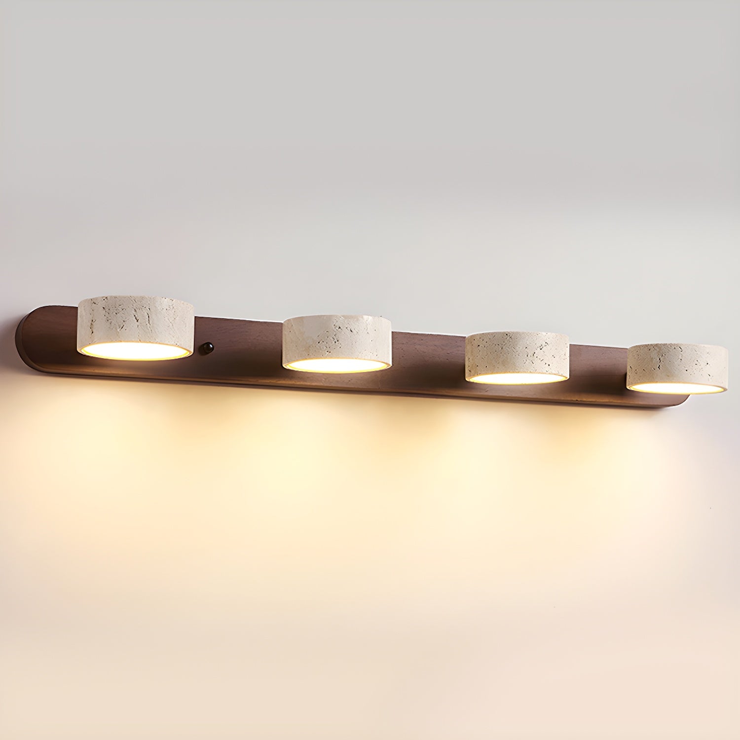 Dual-Light LED Wall Sconce Fixture