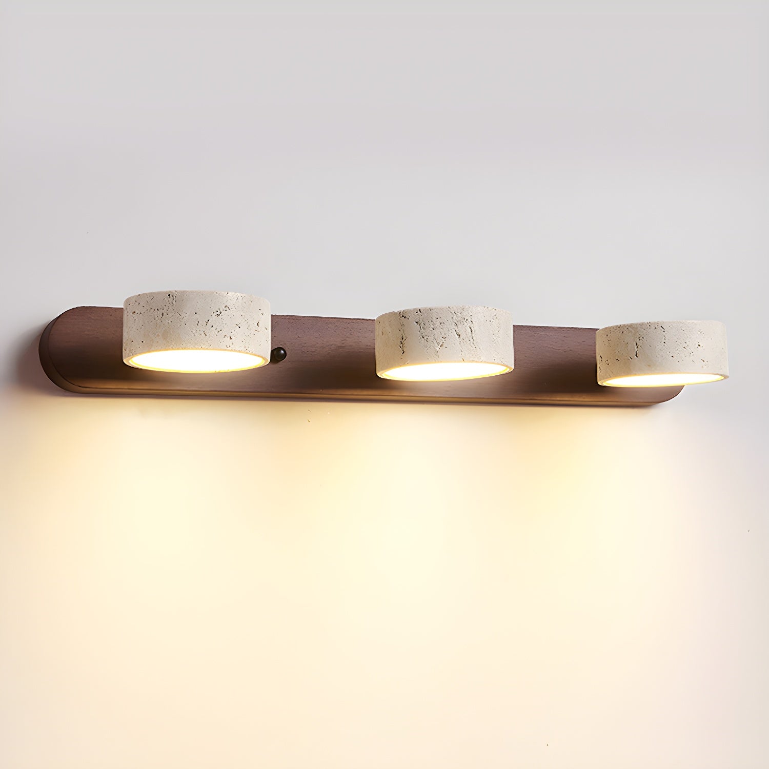 Dual-Light LED Wall Sconce Fixture