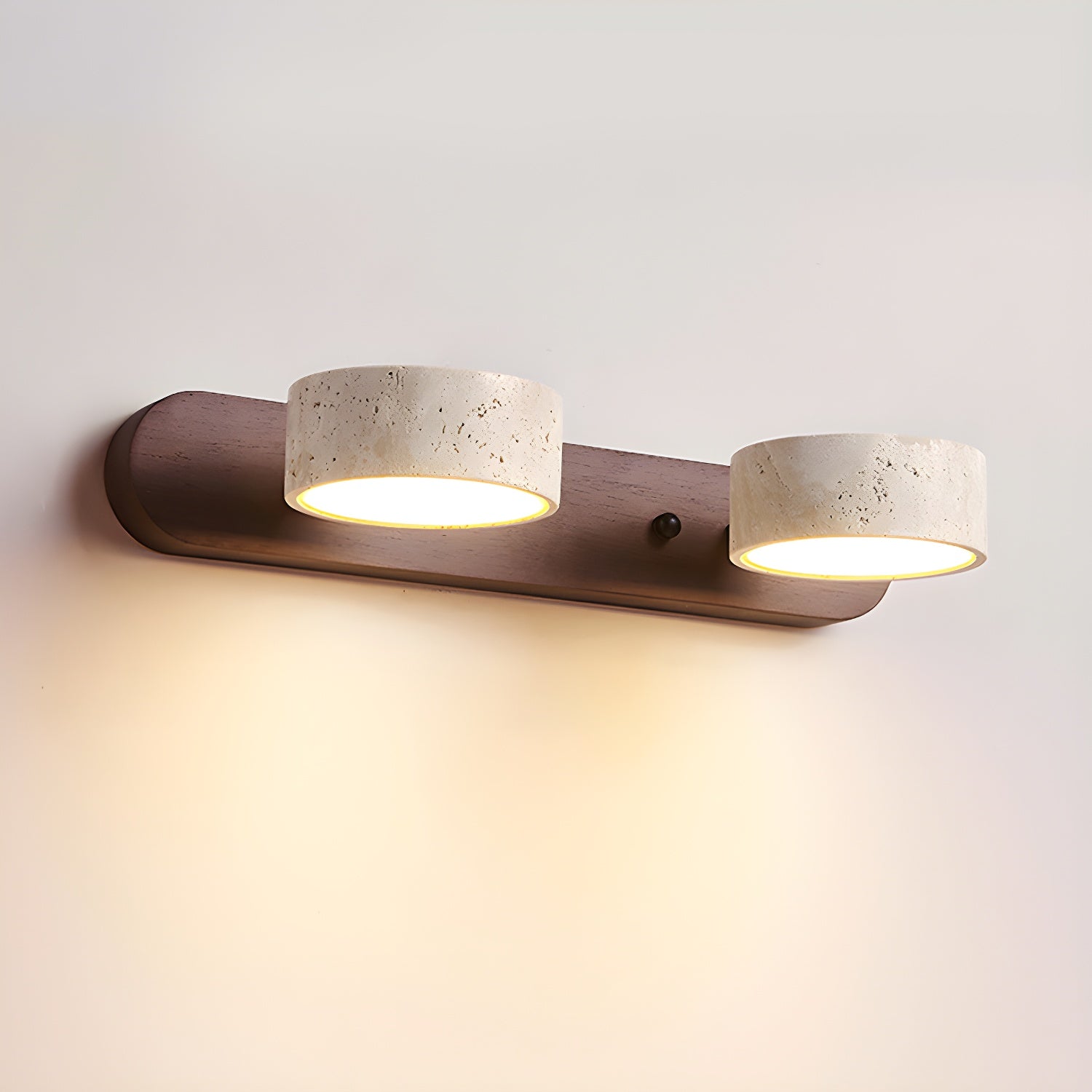Dual-Light LED Wall Sconce Fixture