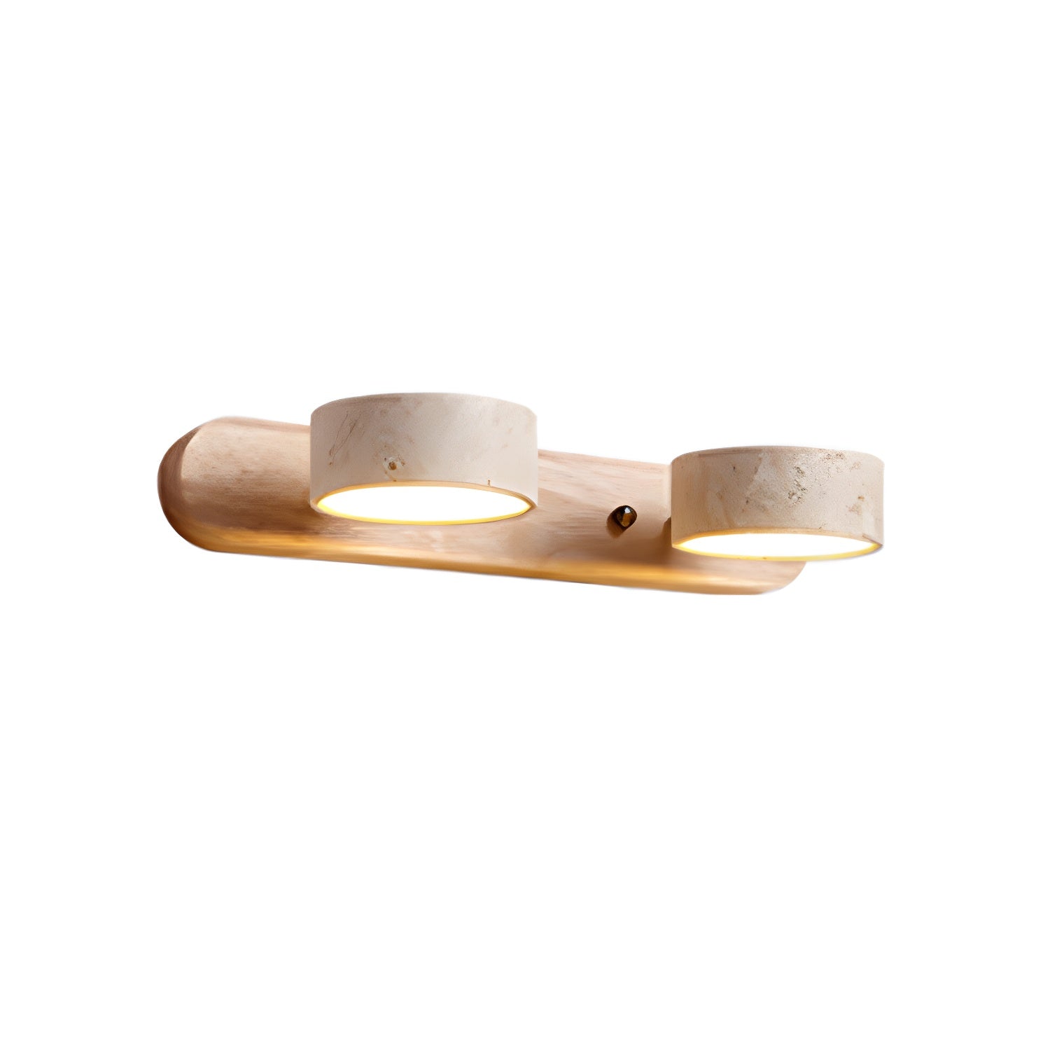 Dual-Light LED Wall Sconce Fixture