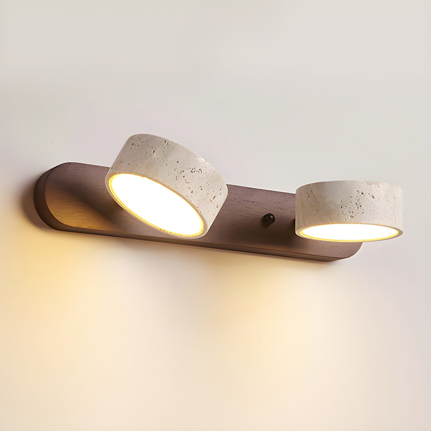 Dual-Light LED Wall Sconce Fixture