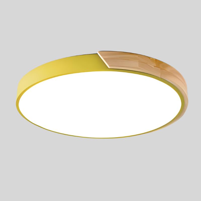 Circular LED Flush Mount Ceiling Light