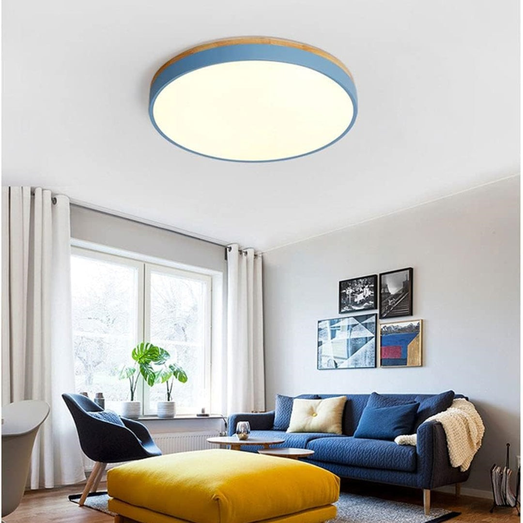 Flush Mount Circular LED Ceiling Light Fixture