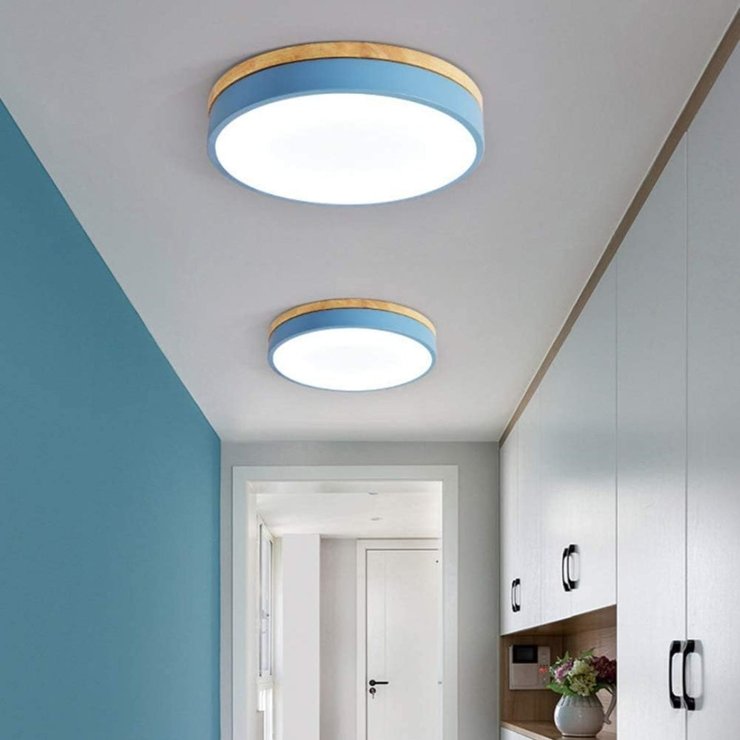 Flush Mount Circular LED Ceiling Light Fixture