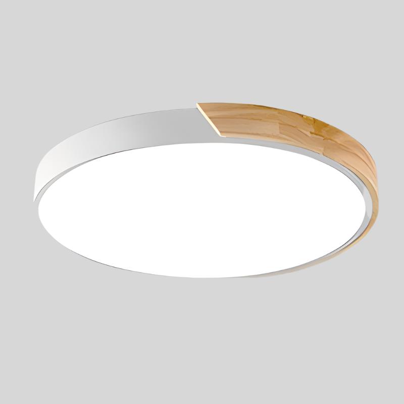 Circular LED Flush Mount Ceiling Light