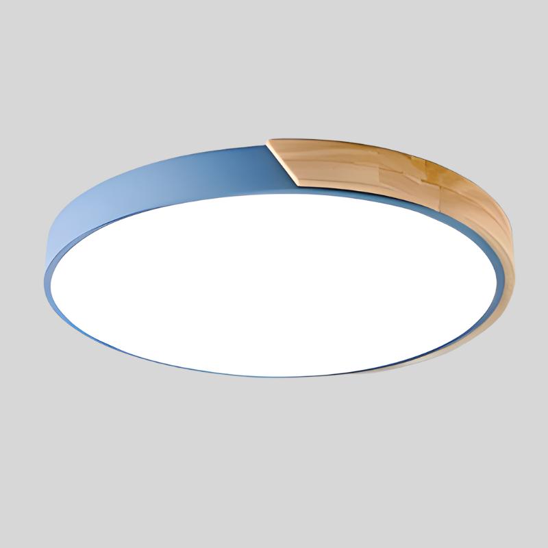 Circular LED Flush Mount Ceiling Light