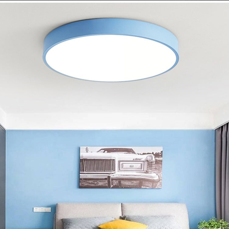 Circular LED Flush Mount Ceiling Light