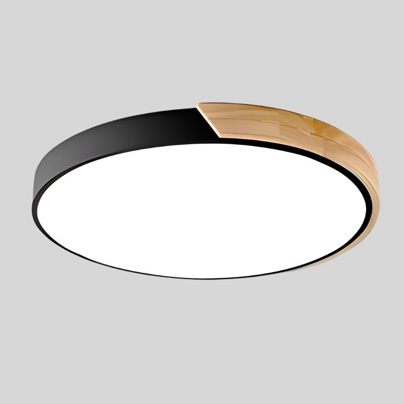 Circular LED Flush Mount Ceiling Light
