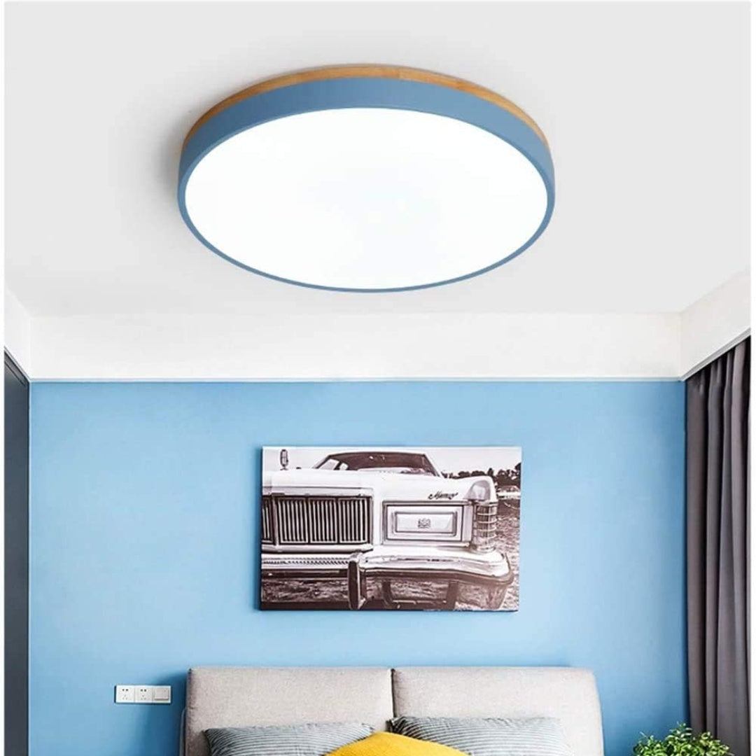Flush Mount Circular LED Ceiling Light Fixture